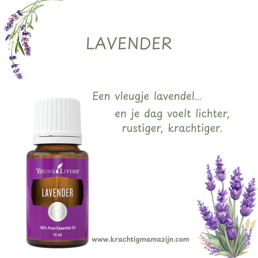 Lavender