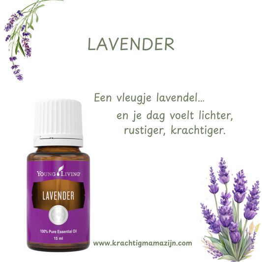 Lavender